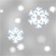  Light Snow Fog/Mist